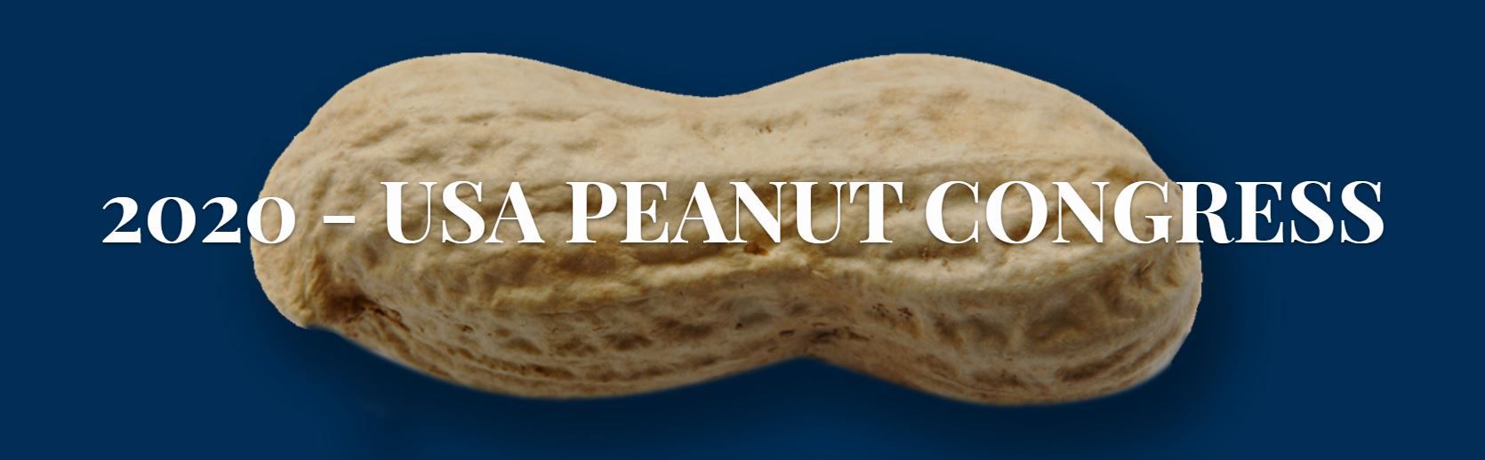 USA Peanut Congress 2020 International Nut & Dried Fruit Council