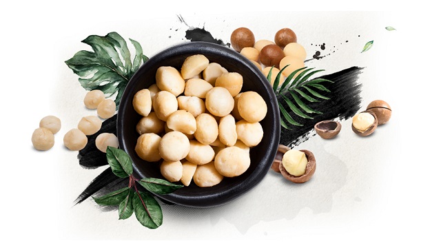 South African and Australian 2023 Macadamia Crop Forecasts Revised ...