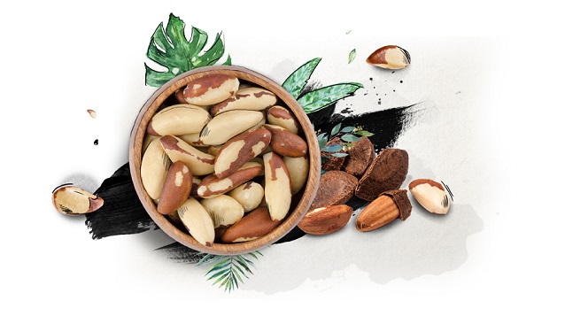 Global Statistical Review, Brazil Nuts - International Nut & Dried Fruit  Council