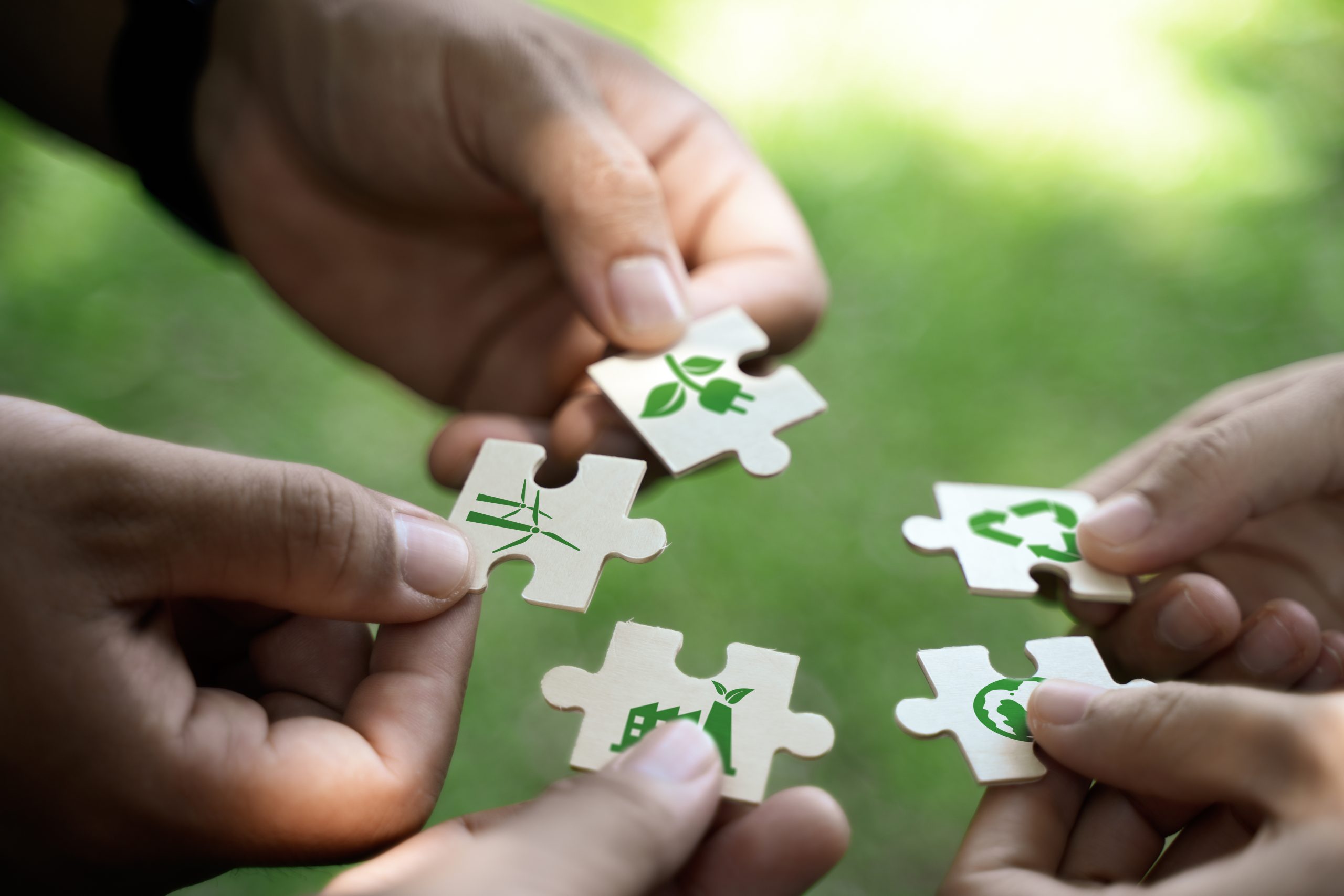 Net Zero and Carbon Neutral Concepts Net Zero Emissions Goals We